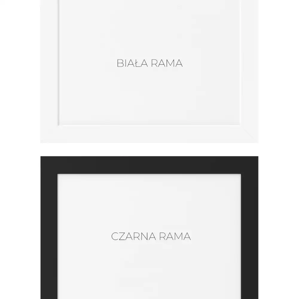 Rechthoekige spiegel wit decoratief met witte lijst